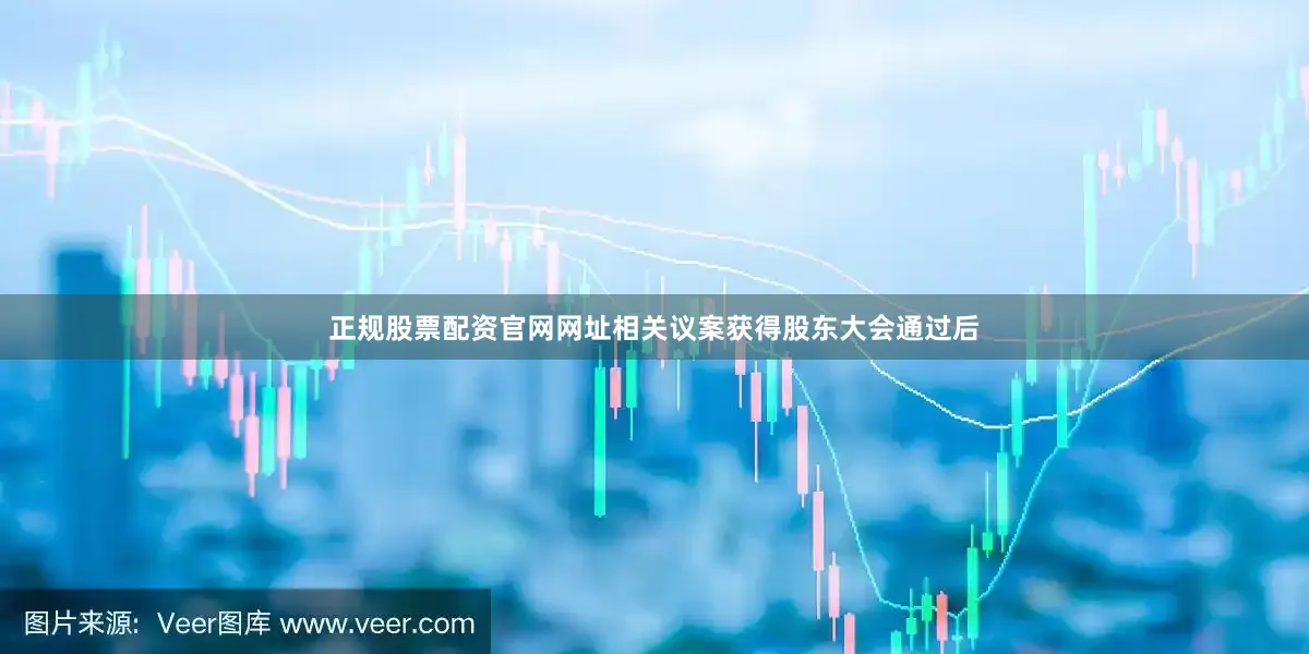 正规股票配资官网网址相关议案获得股东大会通过后