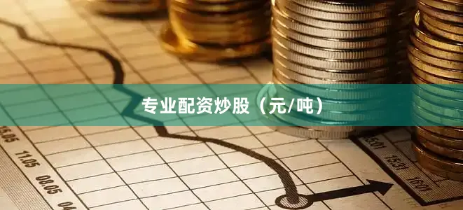专业配资炒股（元/吨）