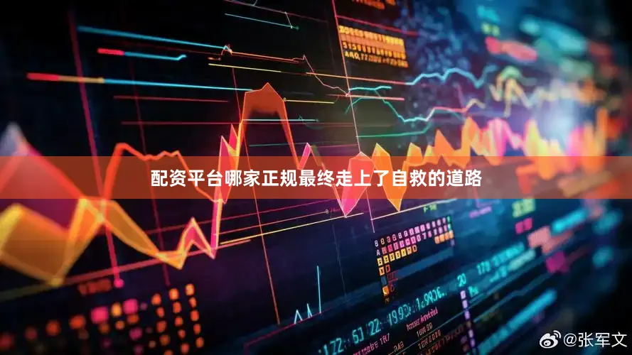 配资平台哪家正规最终走上了自救的道路