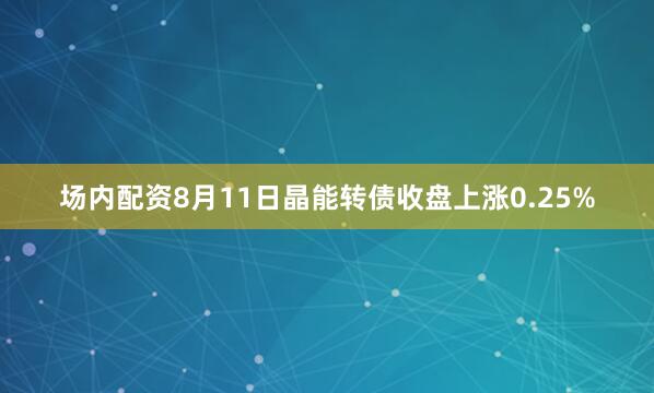 场内配资8月11日晶能转债收盘上涨0.25%