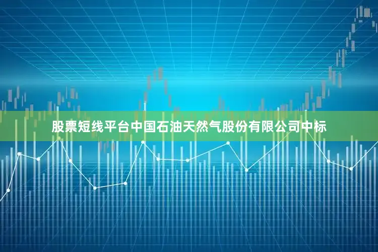 股票短线平台中国石油天然气股份有限公司中标